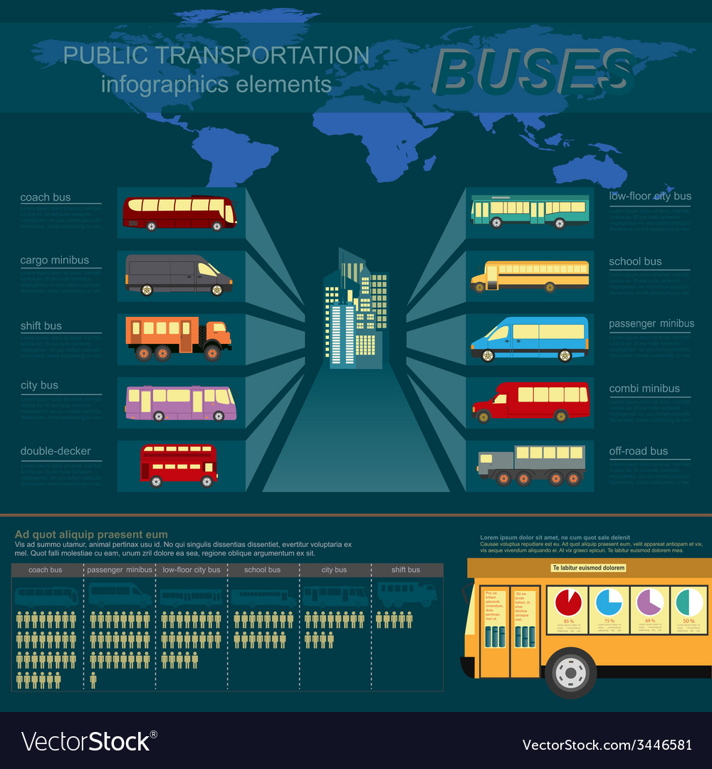 Public transportation ingographics buses