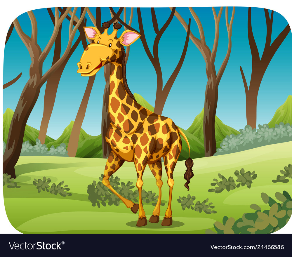 A giraffe in forest Royalty Free Vector Image - VectorStock