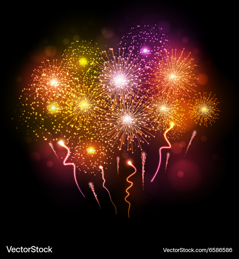 Holiday firework Royalty Free Vector Image - VectorStock