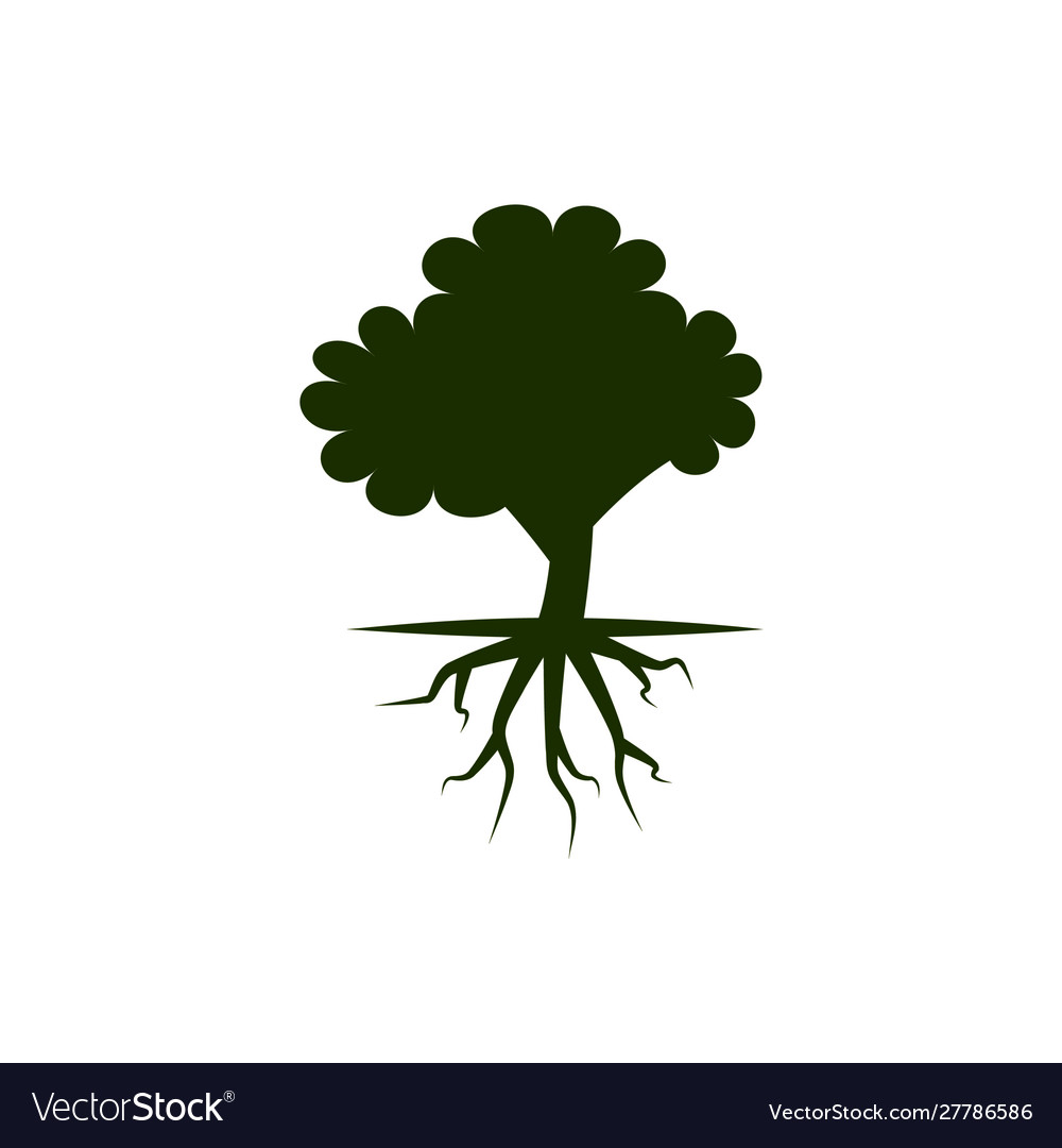 Tree with root system stock isolated on white vector image Tree with root system stock isolated on white