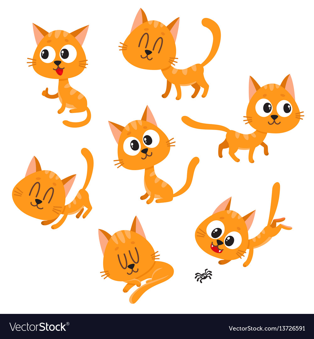 Cute and funny red cat character showing different