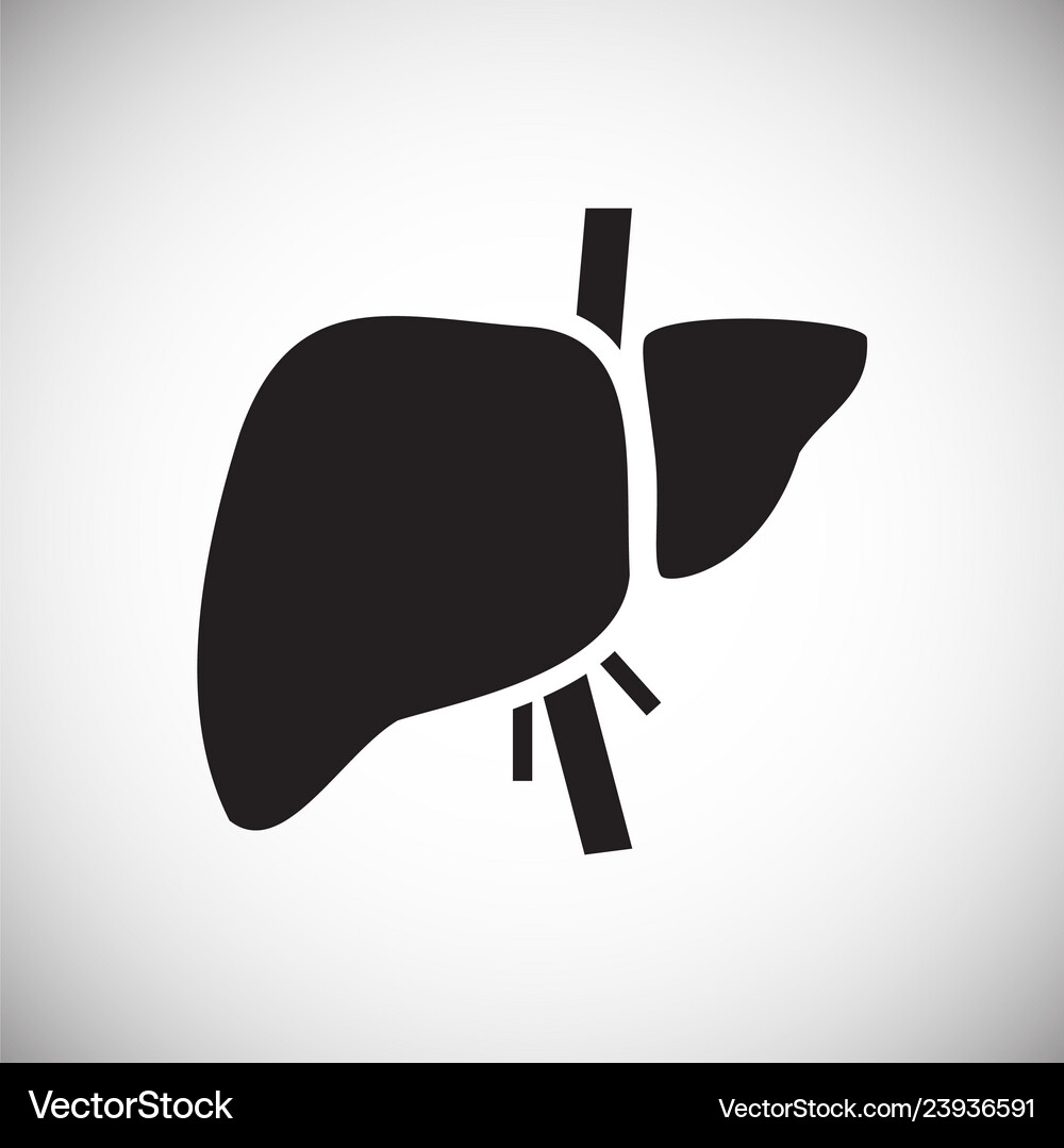 Liver icon on white background for graphic and web