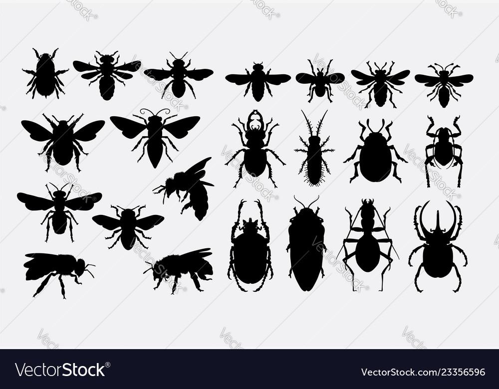 Bee and bug silhouette vector image Bee and bug silhouette
