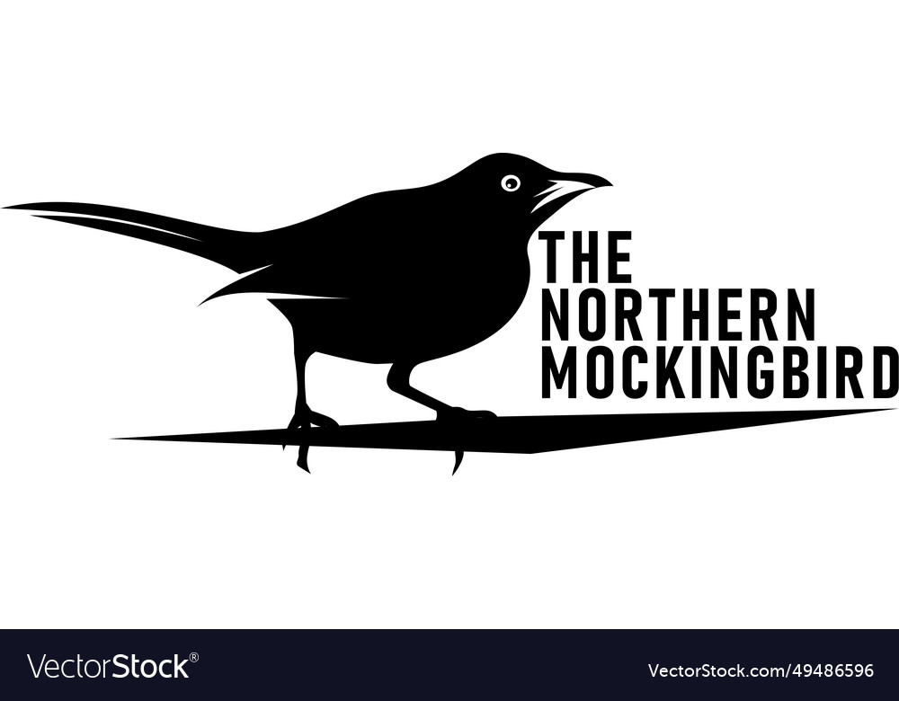 Northern mockingbird symbol of texas independence Vector Image