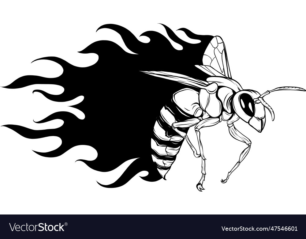 Bee outline black and white Royalty Free Vector Image