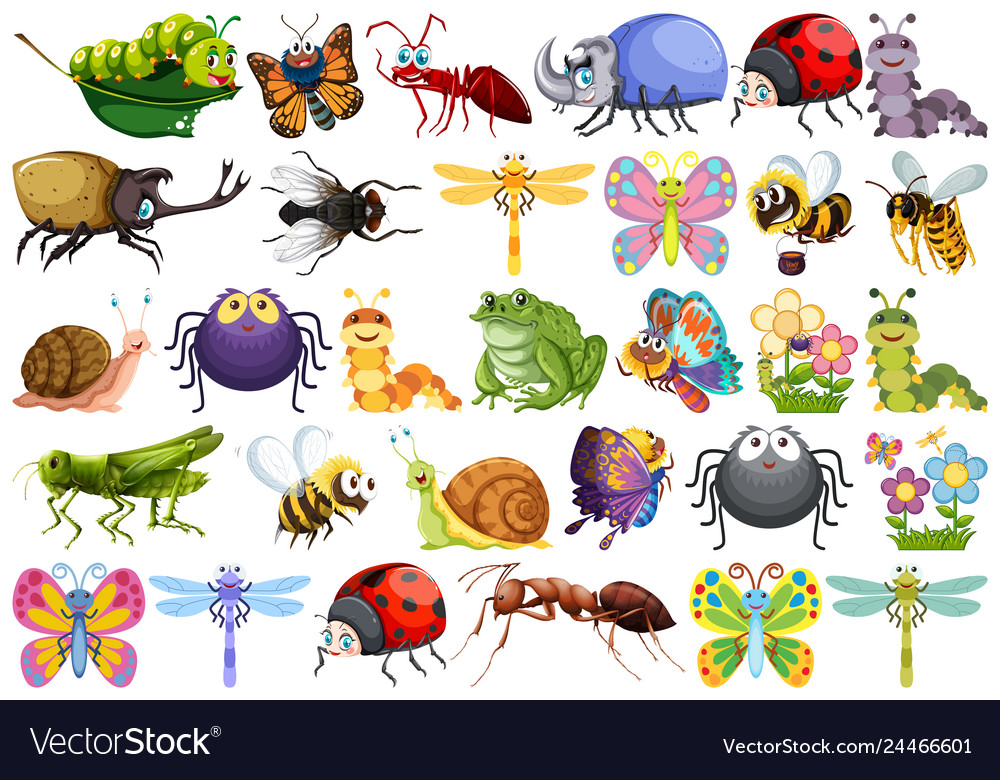 Colorful Insect Character Set