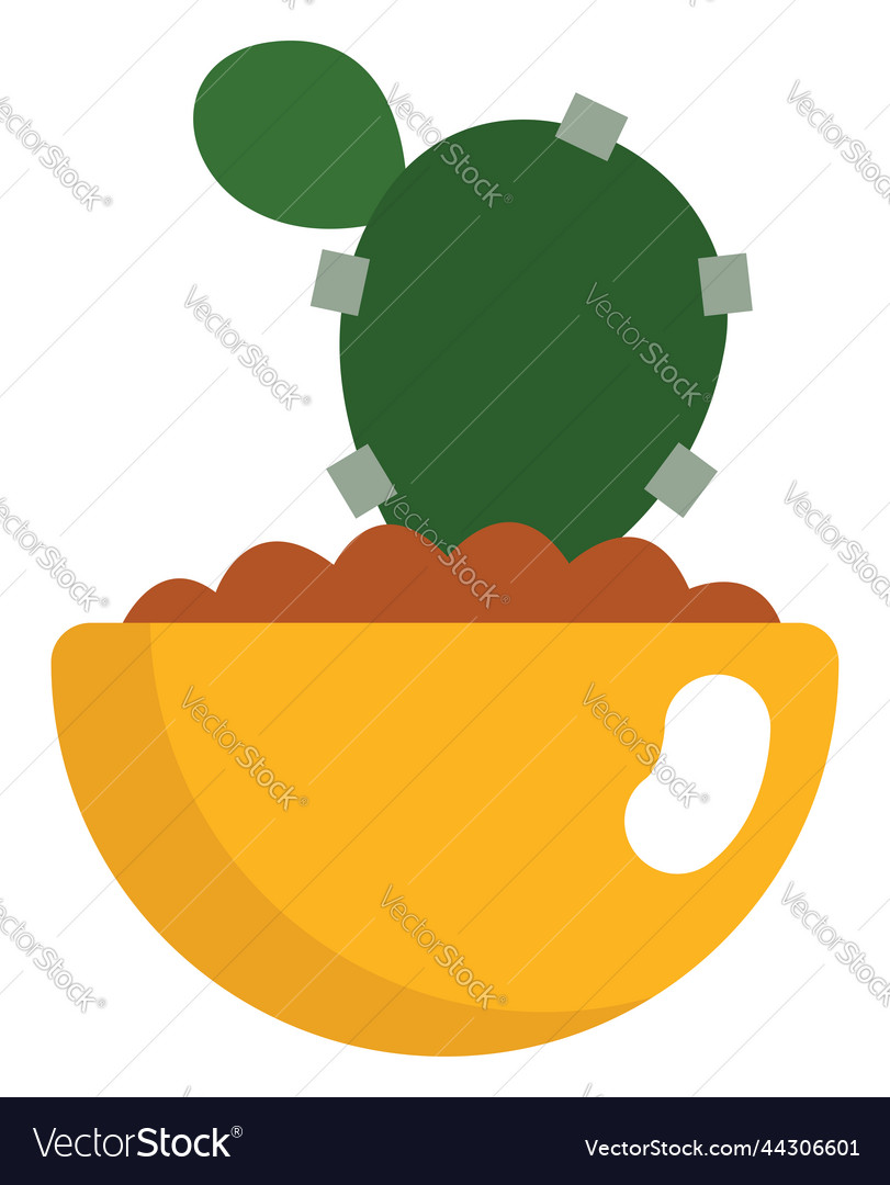 Epiphyllum in yellow pot on a white background Vector Image