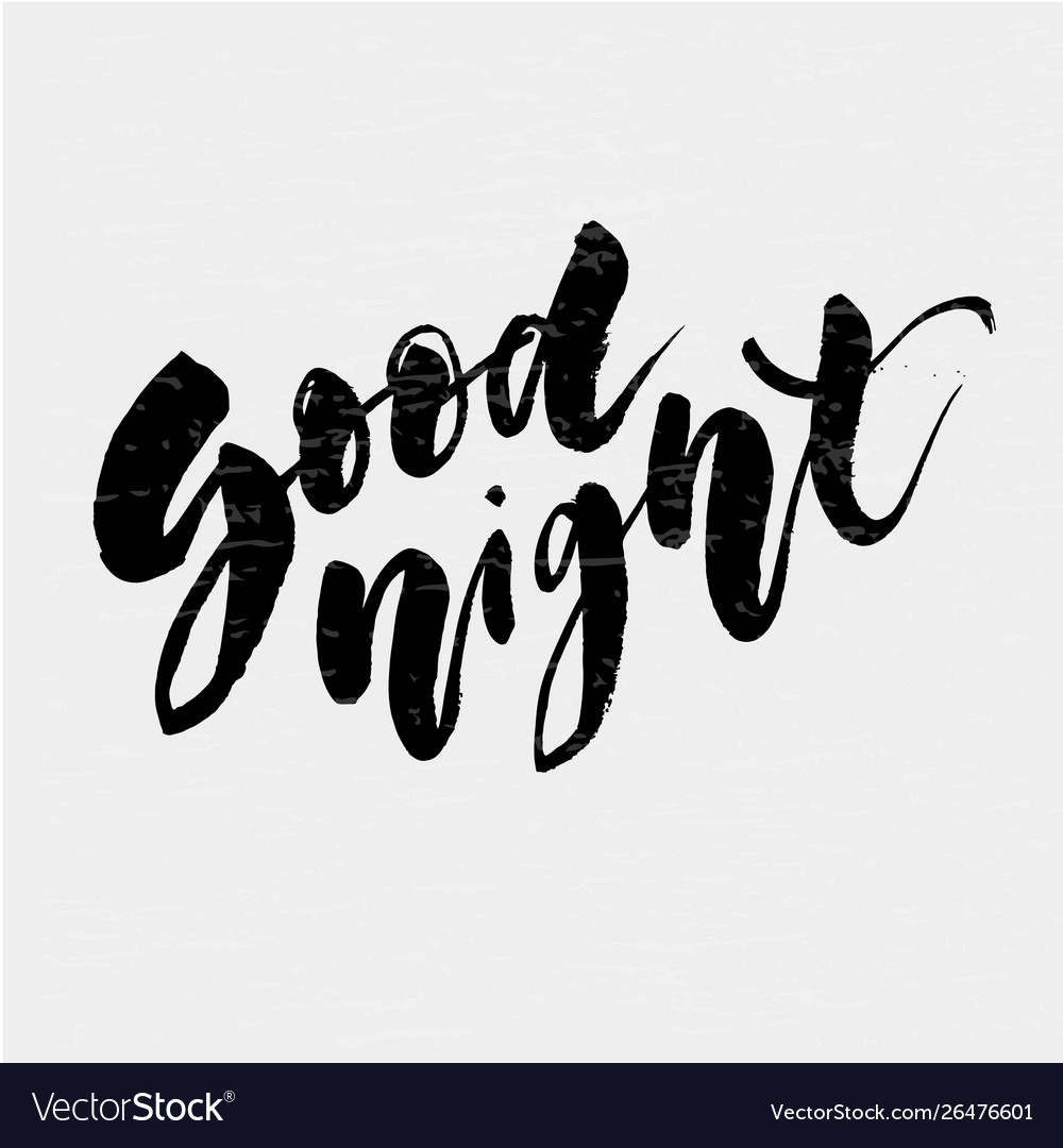 Good night lettering calligraphy text phrase Vector Image
