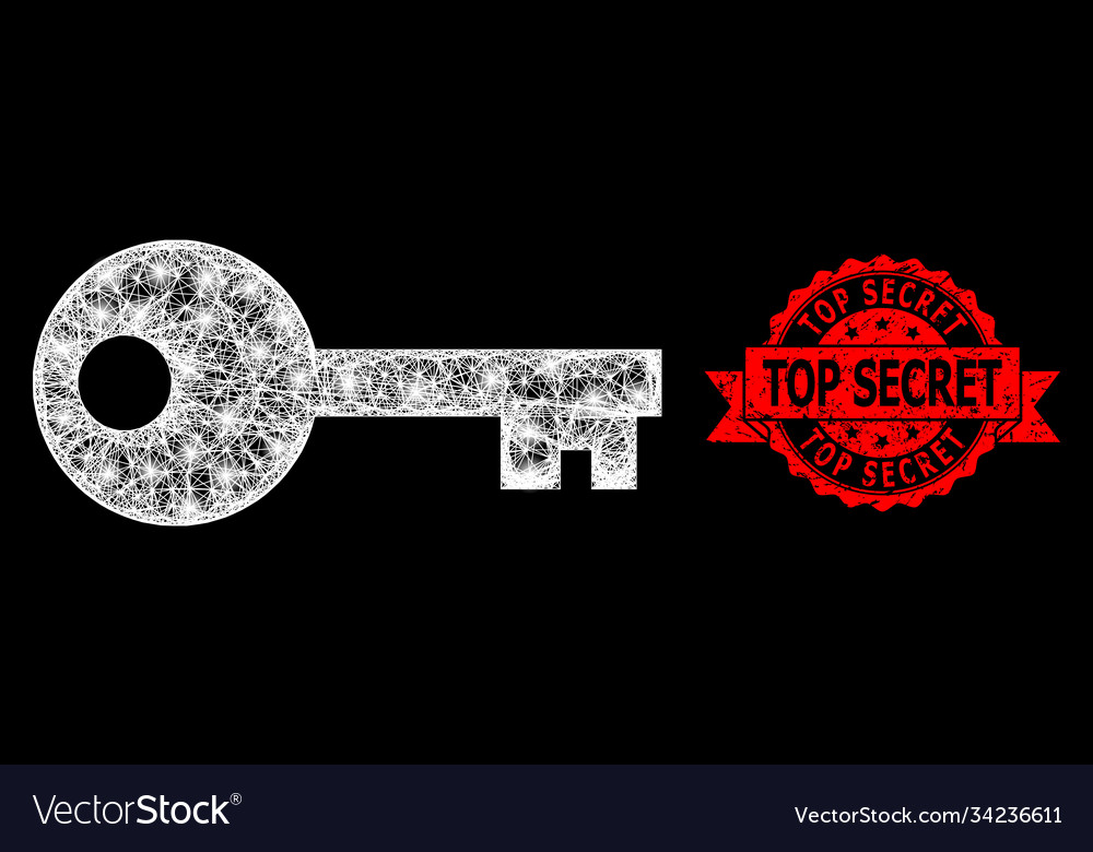 Grunge top secret seal and bright web net key vector image Grunge top secret seal and bright web net key