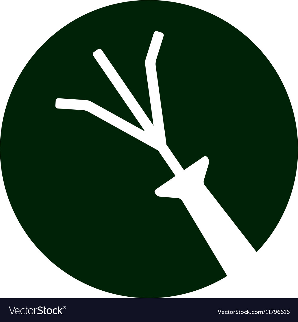 Garden rake isolated icon