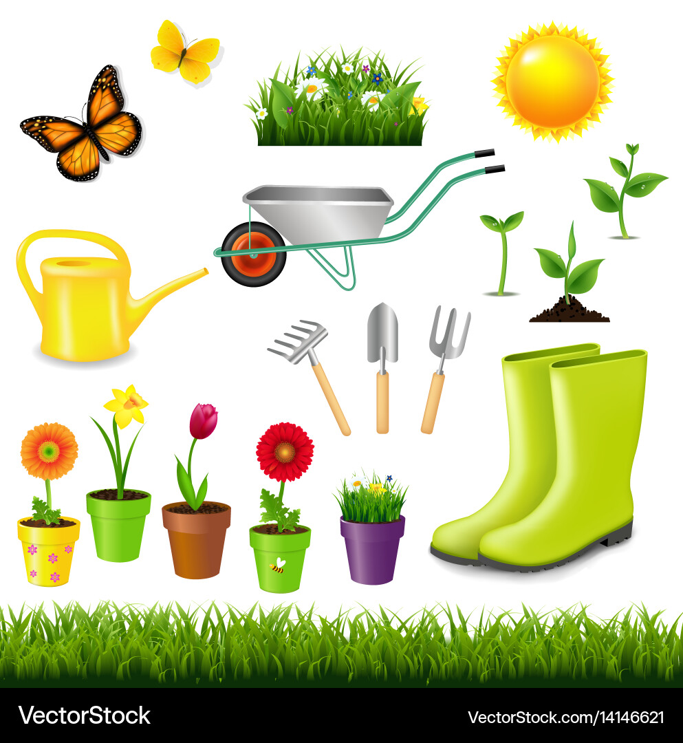 Gardening tools Royalty Free Vector Image - VectorStock