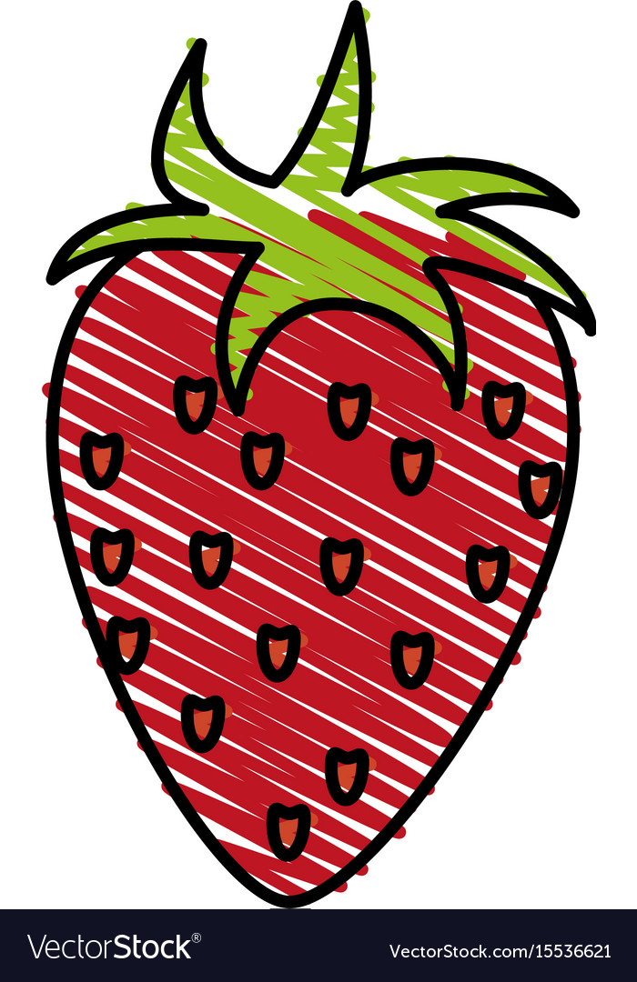 Strawberry Royalty Free Vector Image - VectorStock