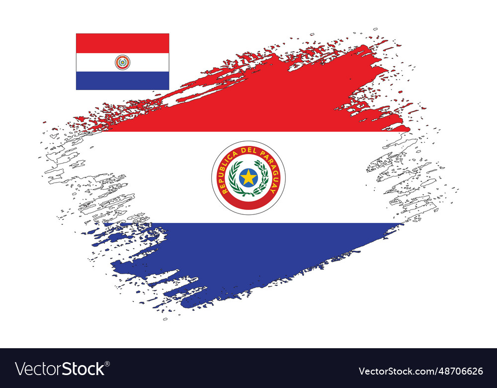 Brush design paraguay flag Royalty Free Vector Image