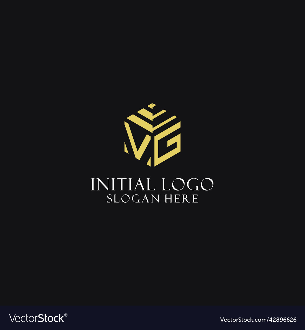 Vg initial monogram with hexagon shape logo