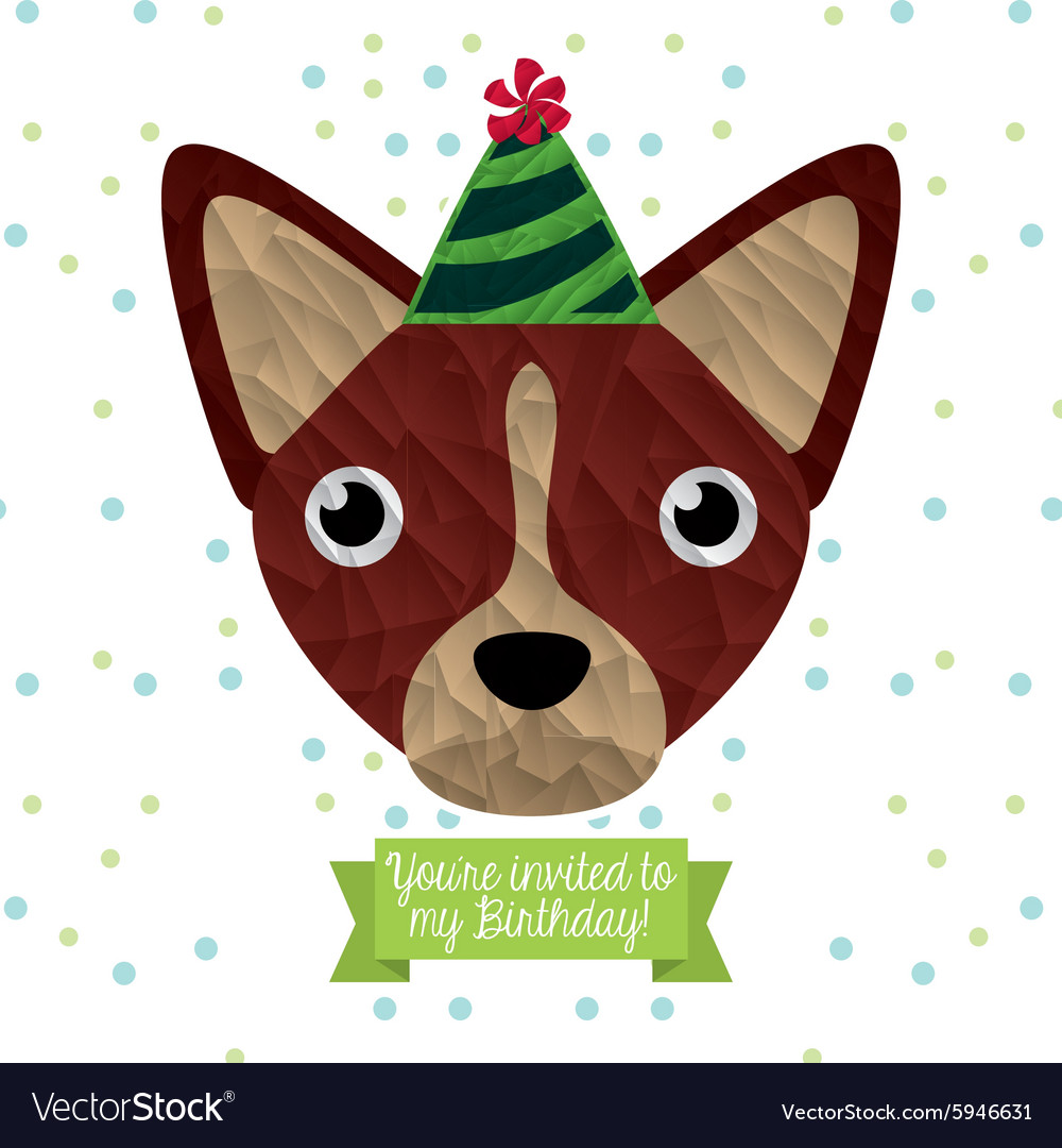 Birthday invitation Royalty Free Vector Image - VectorStock