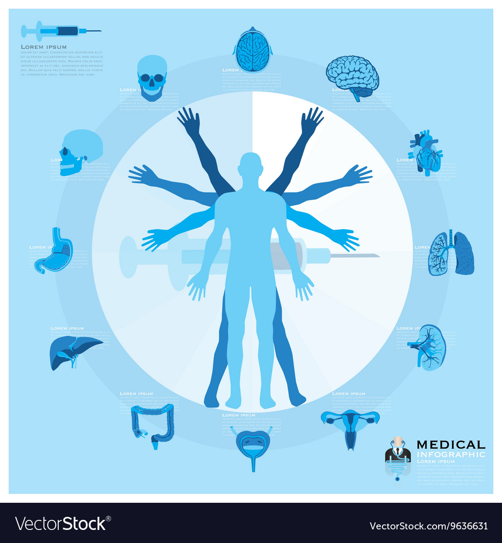 Health And Medical Infographic Royalty Free Vector Image