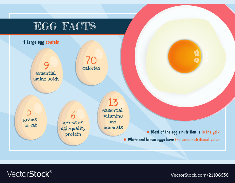 This egg перевод. A Egg или an. Сыр инфографика. Питание яйцо в Ведах. Egg с a или Ah.