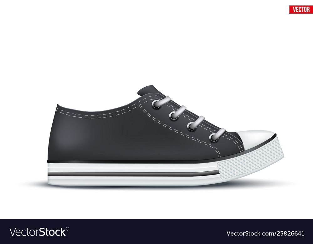 Download Canvas Sneaker Mockup Royalty Free Vector Image