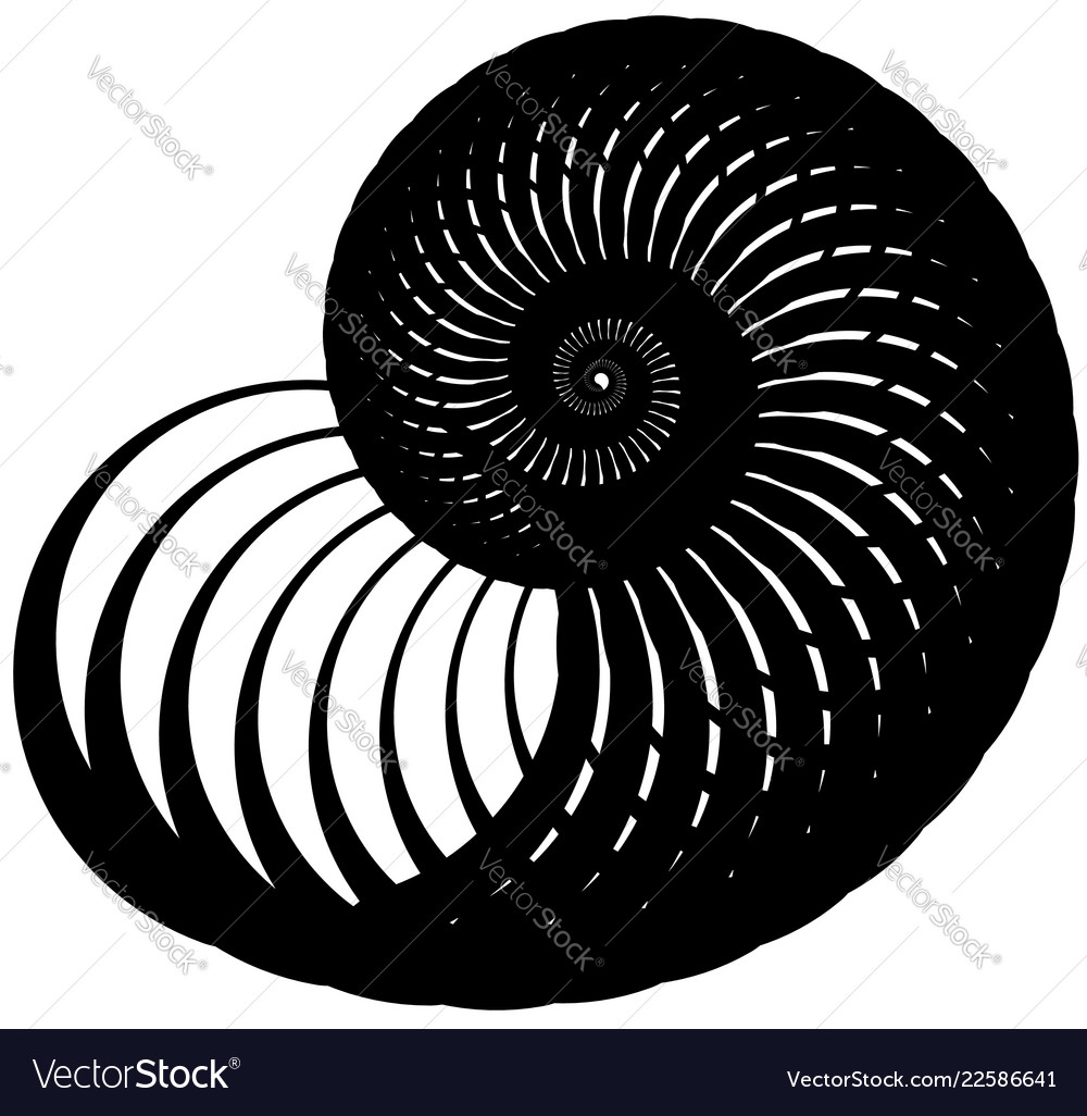 Snail helix made of inward rotating circles