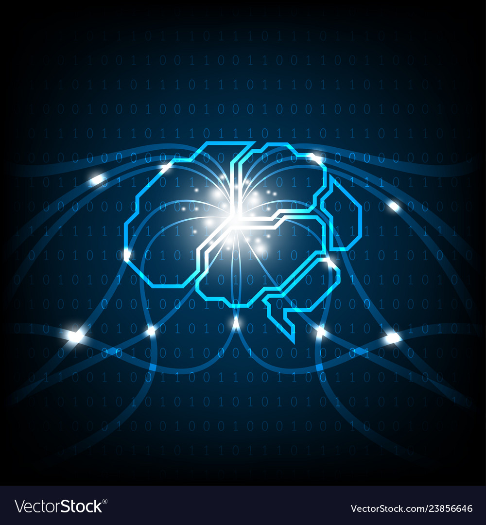 Brain function