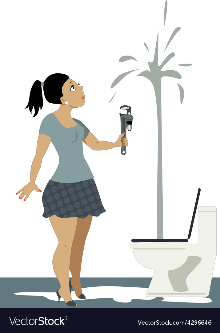 Not a plumber