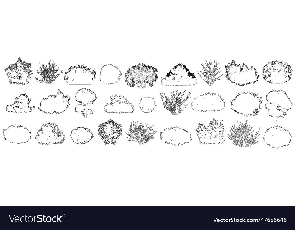 Set of bush and bare bush decorative garden Vector Image