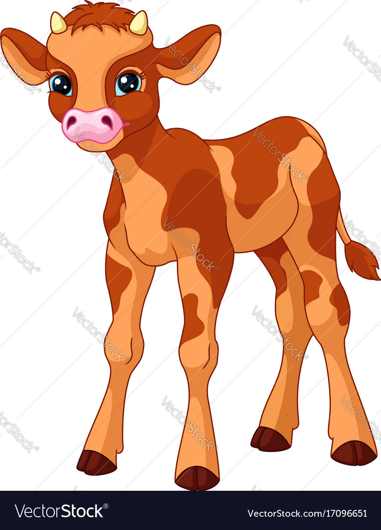 Calf Royalty Free Vector Image - VectorStock