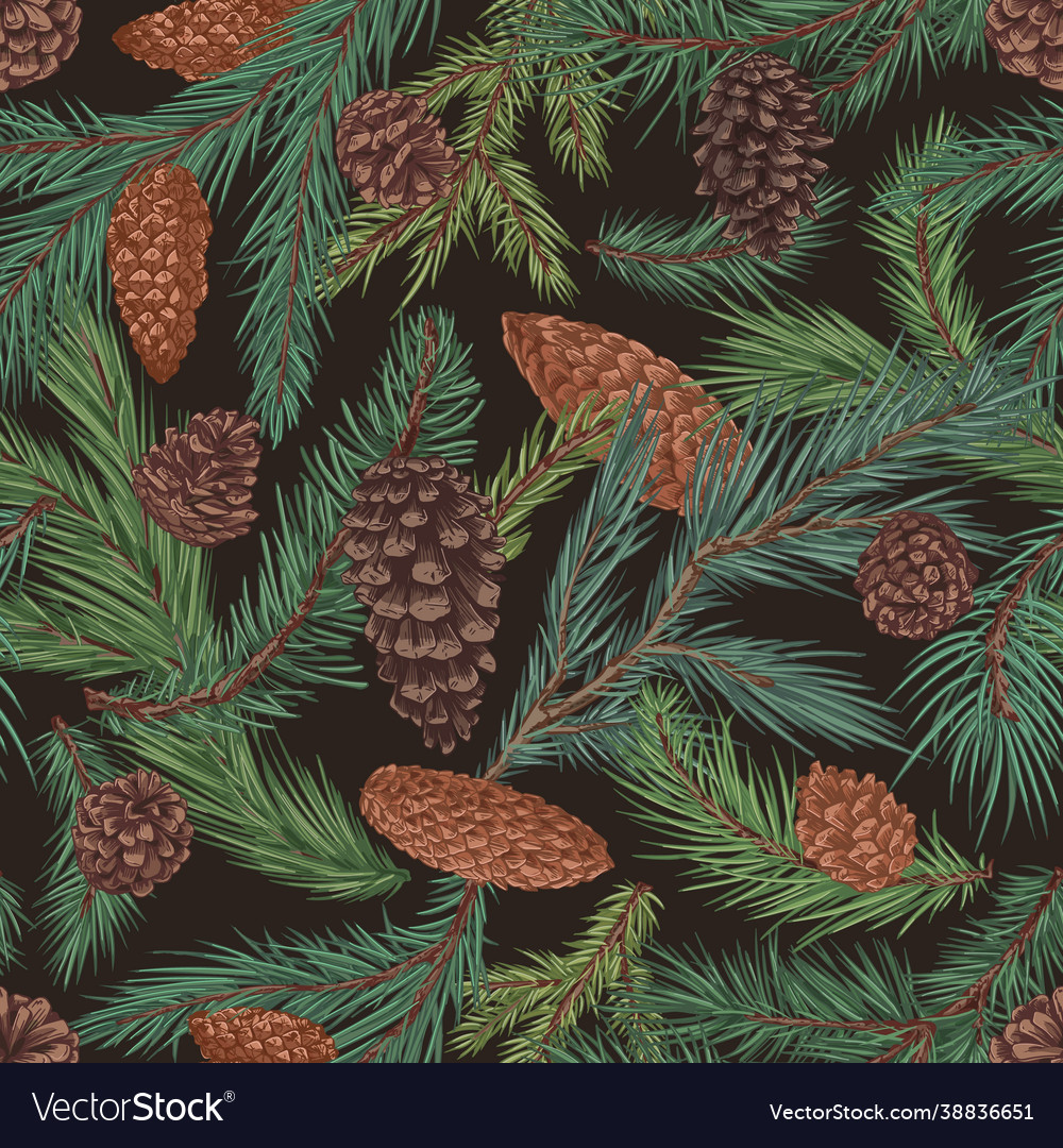 Seamless coniferous pattern with fir and spruce vector image Seamless coniferous pattern with fir and spruce