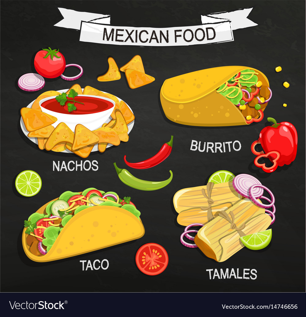 Concept mexican food menu Royalty Free Vector Image