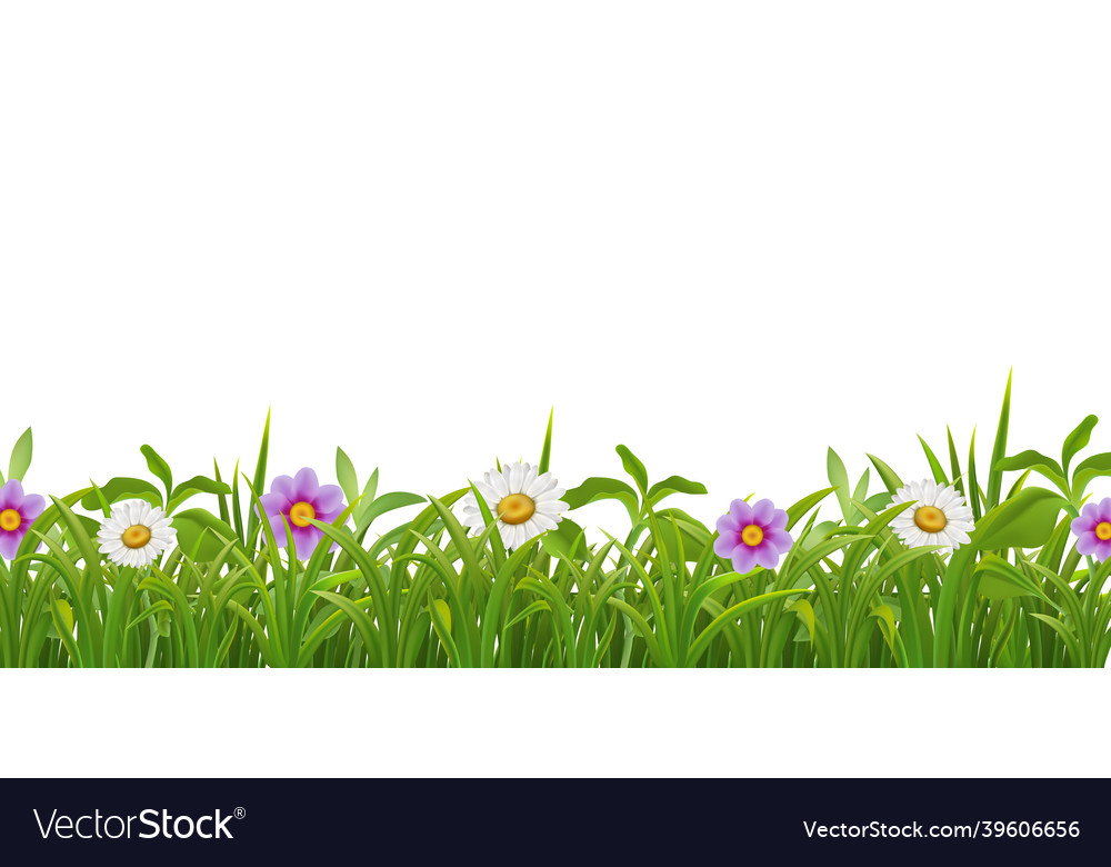 Grass flowers realistic border Royalty Free Vector Image