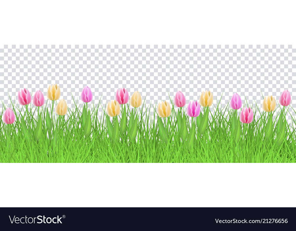 Spring floral border with colorful tulips on green