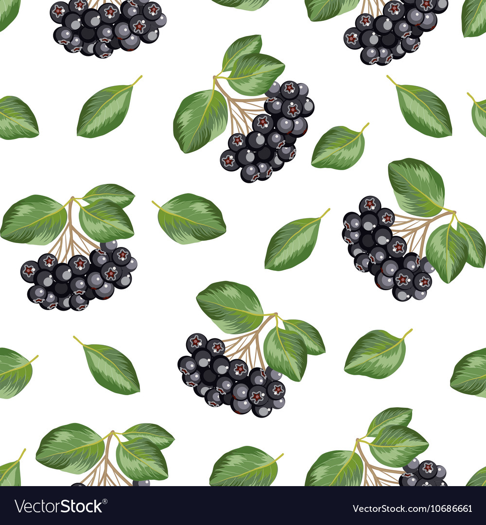 Seamless pattern with rowan