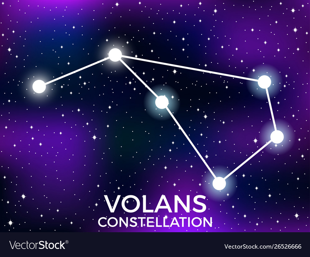 Volans Constellation Starry Night Sky Cluster Of Vector Image