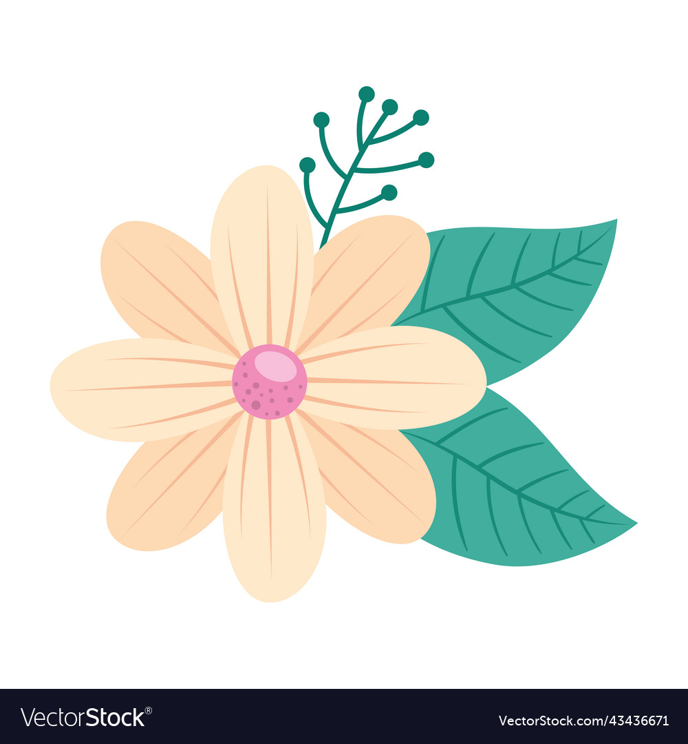 Beige flower garden decoration Royalty Free Vector Image