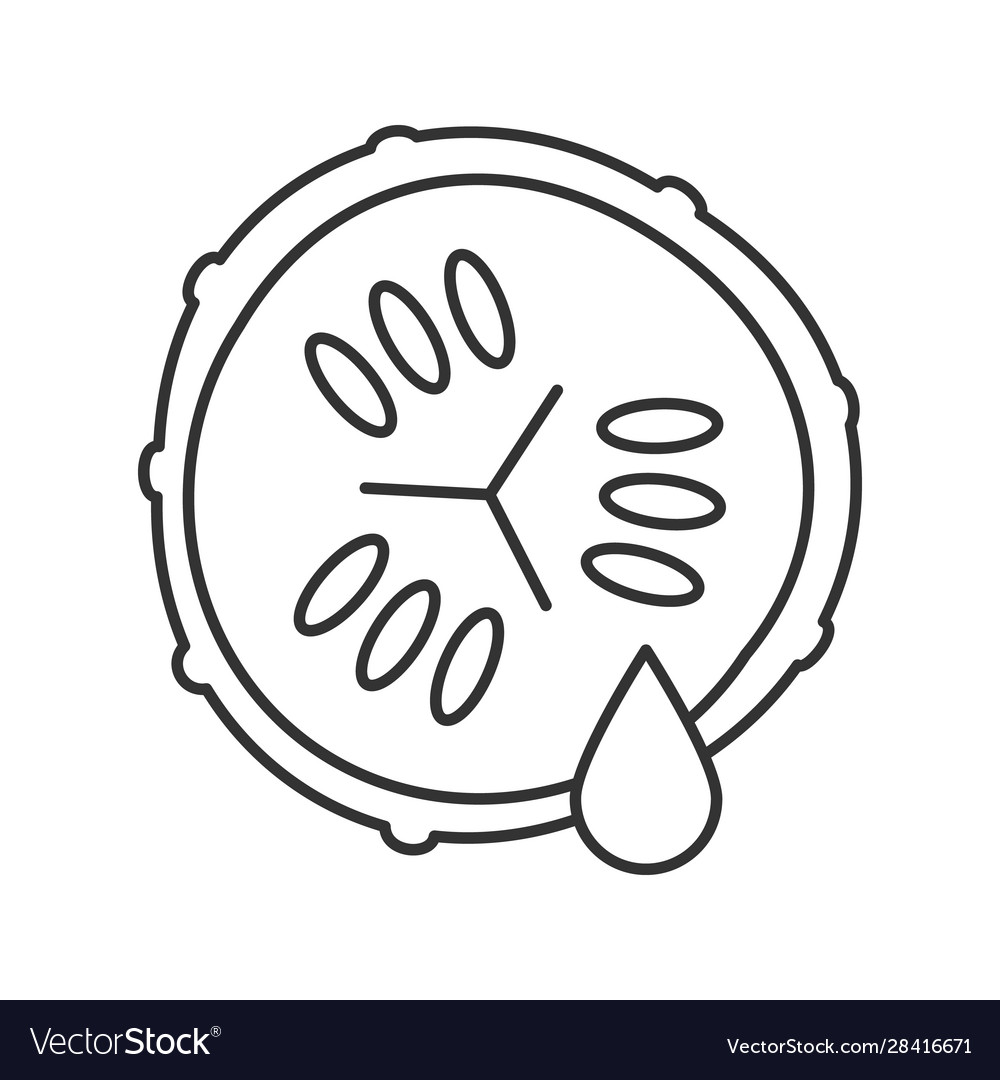 Cucumber slice with juice linear icon vector image Cucumber slice with juice linear icon
