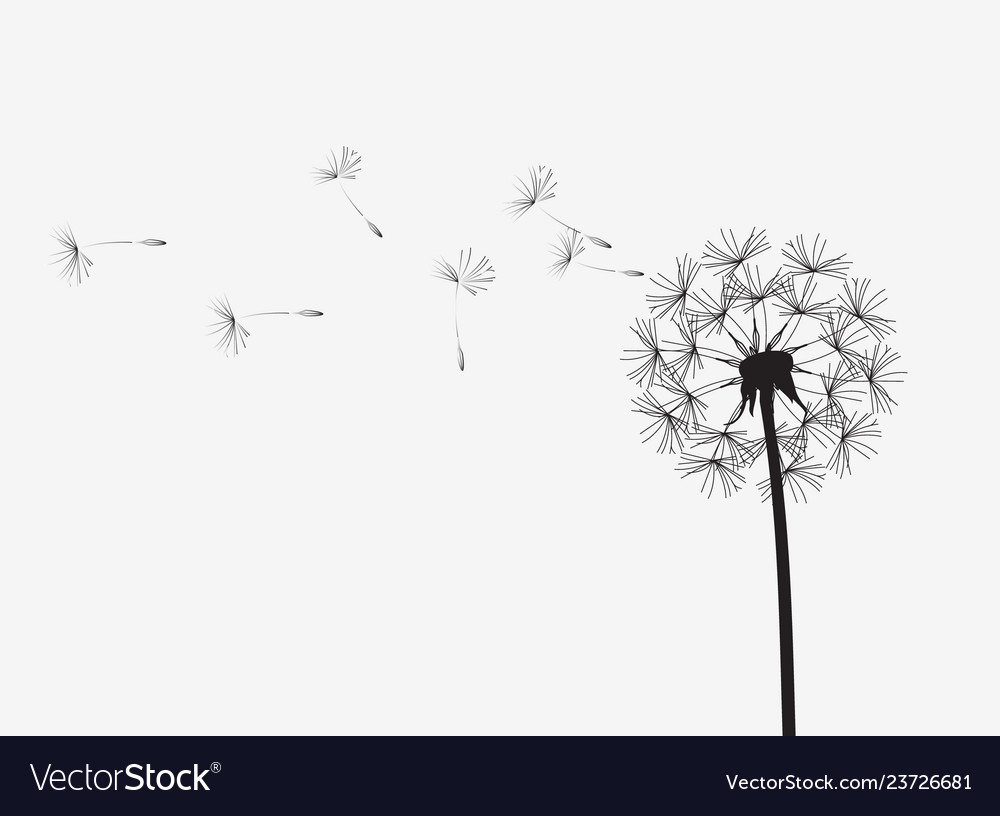 Abstract background of a dandelion for design vector image Abstract background of a dandelion for design