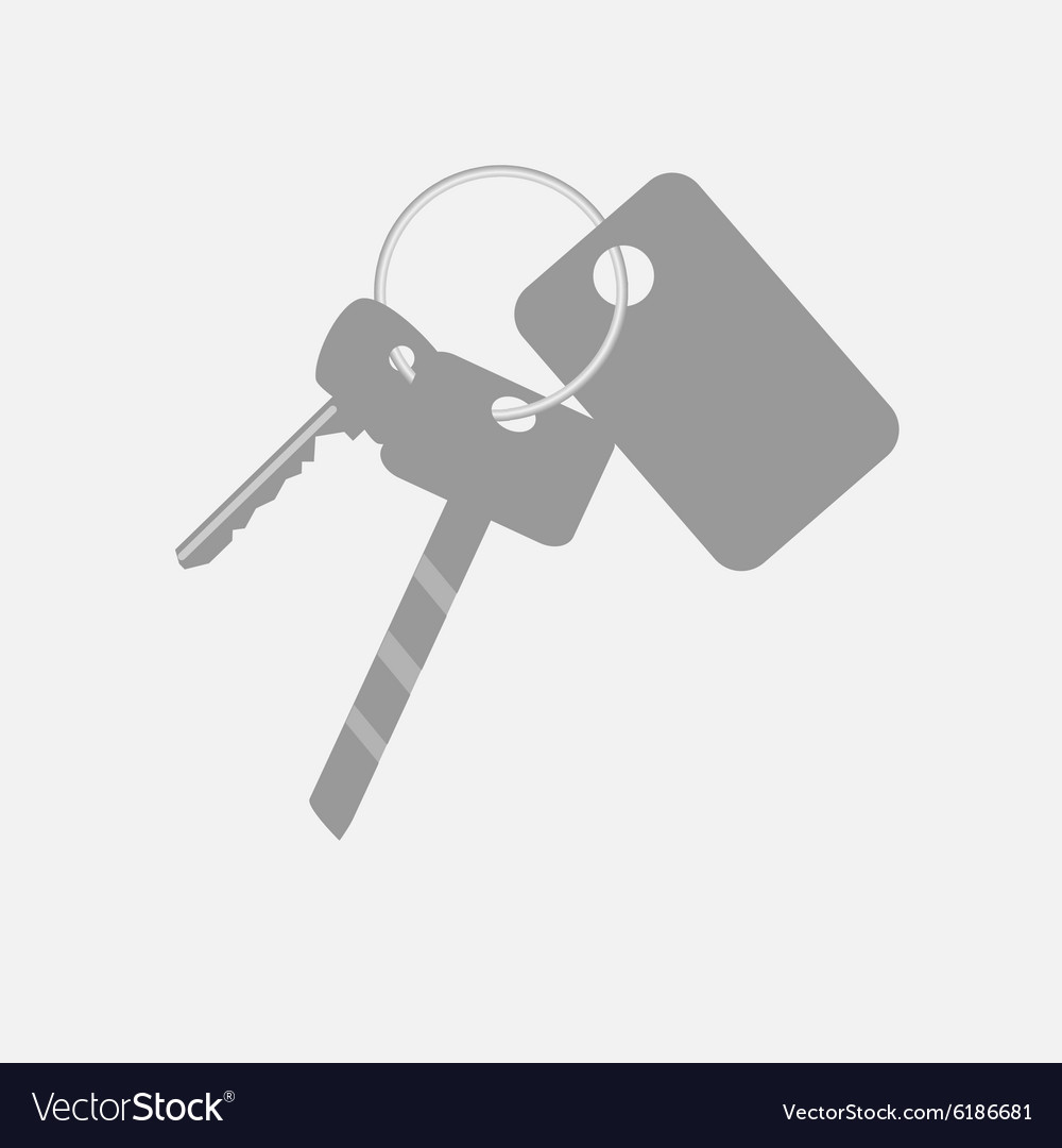 Bunch of keys with keychain