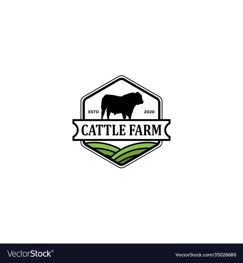 Cattle farm logo design - angus cow beef Vector Image