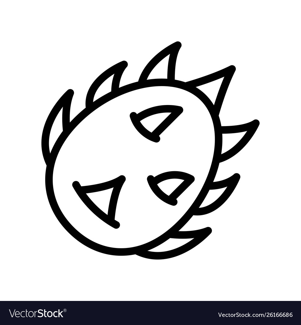 Dragon fruit tropical related line style icon