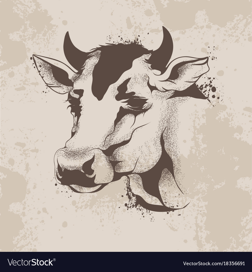 Graphic ink drawing sketch the head of a cow Vector Image