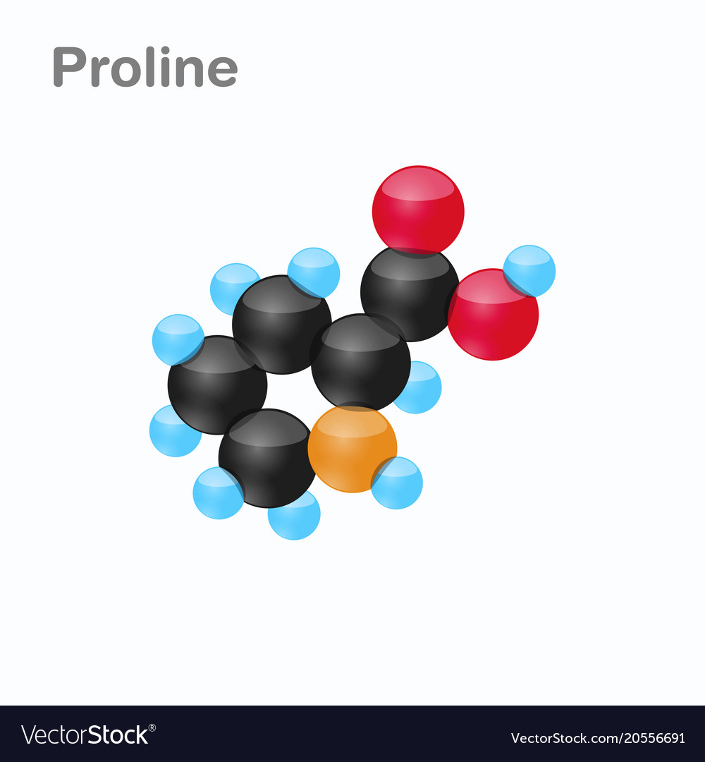 Molecule of proline pro an amino acid used