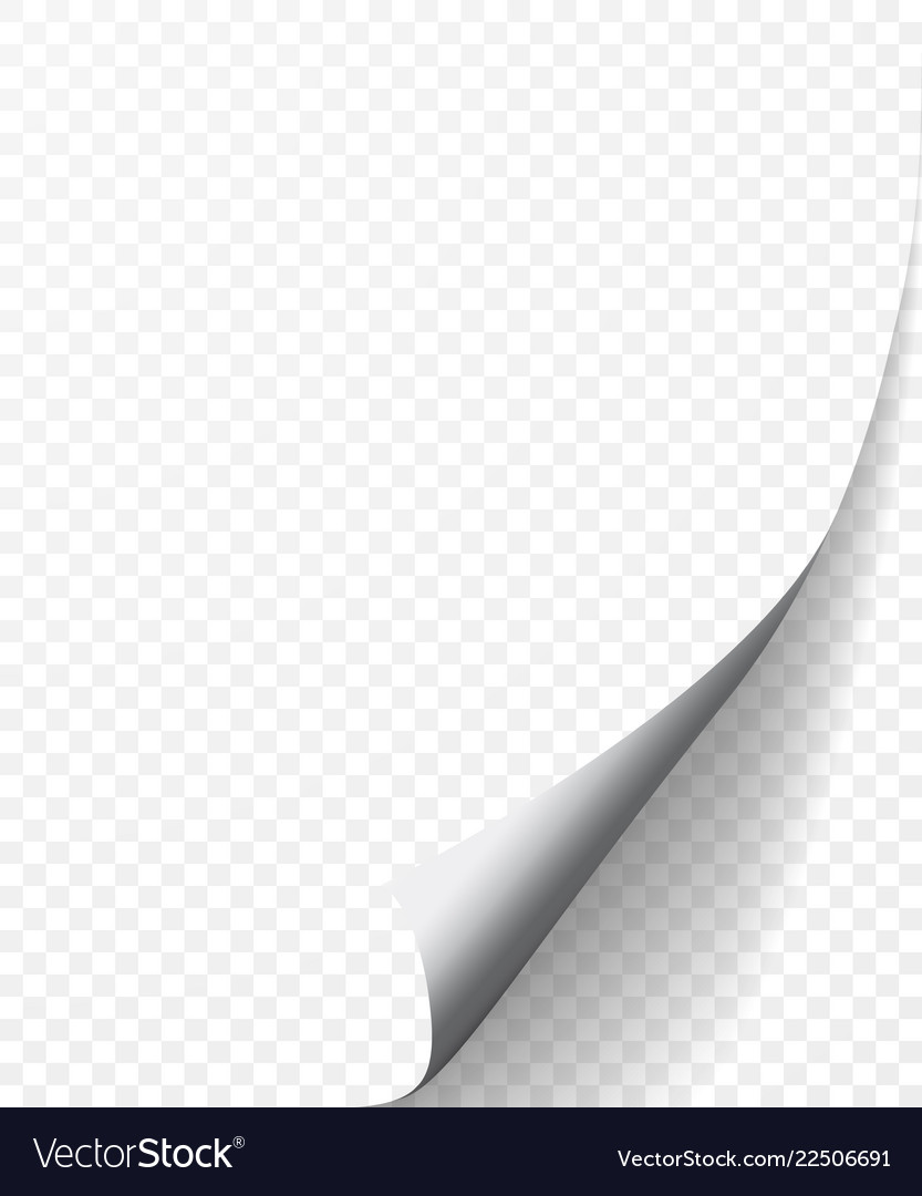 White page curl corner on blank sheet paper Vector Image