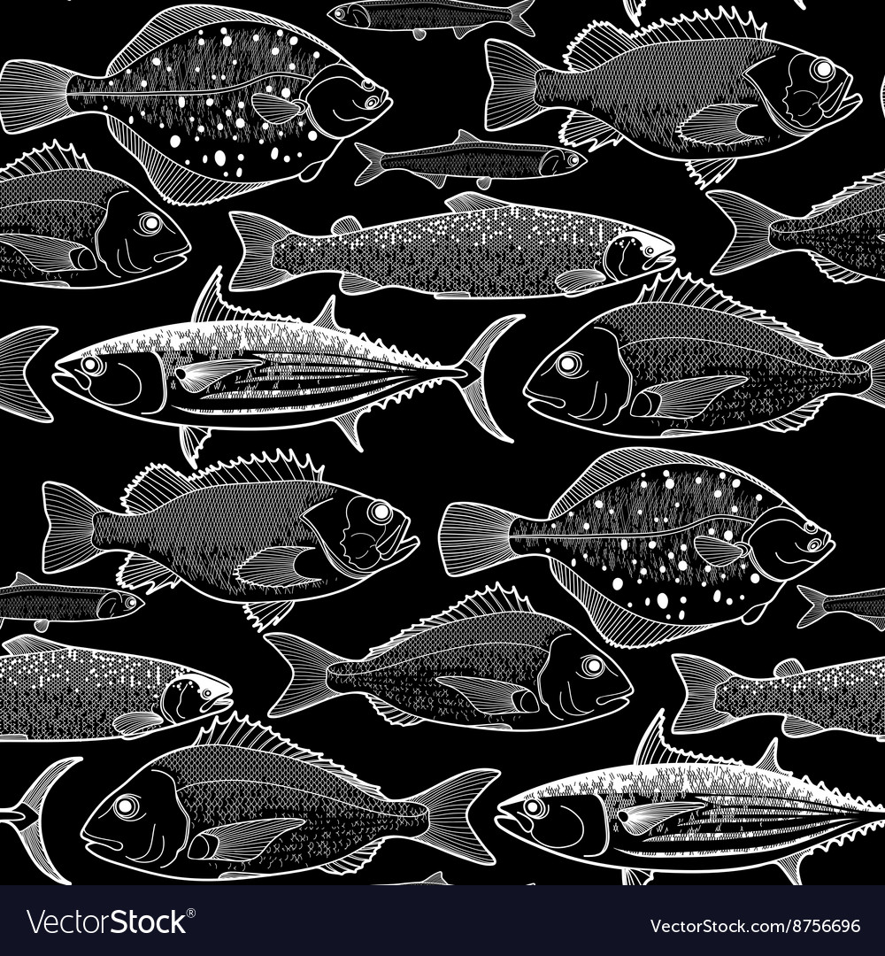 Graphic Fish Pattern Royalty Free Vector Image