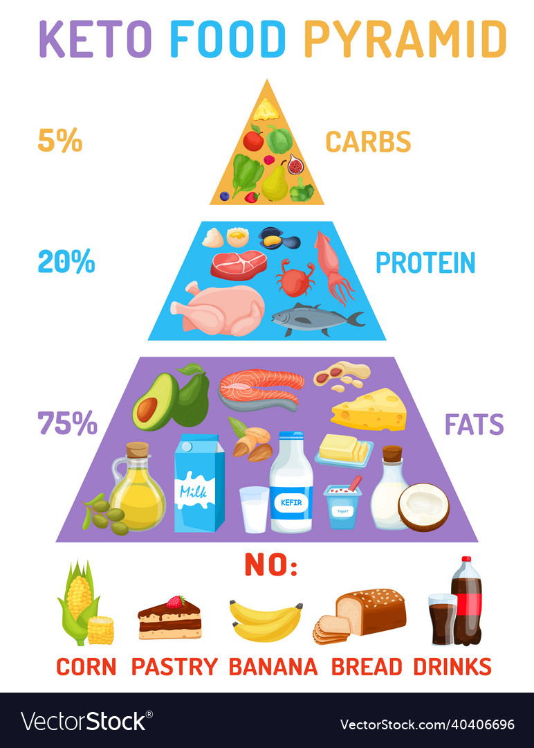 Low carbohydrate diet diagram medical pyramid Vector Image