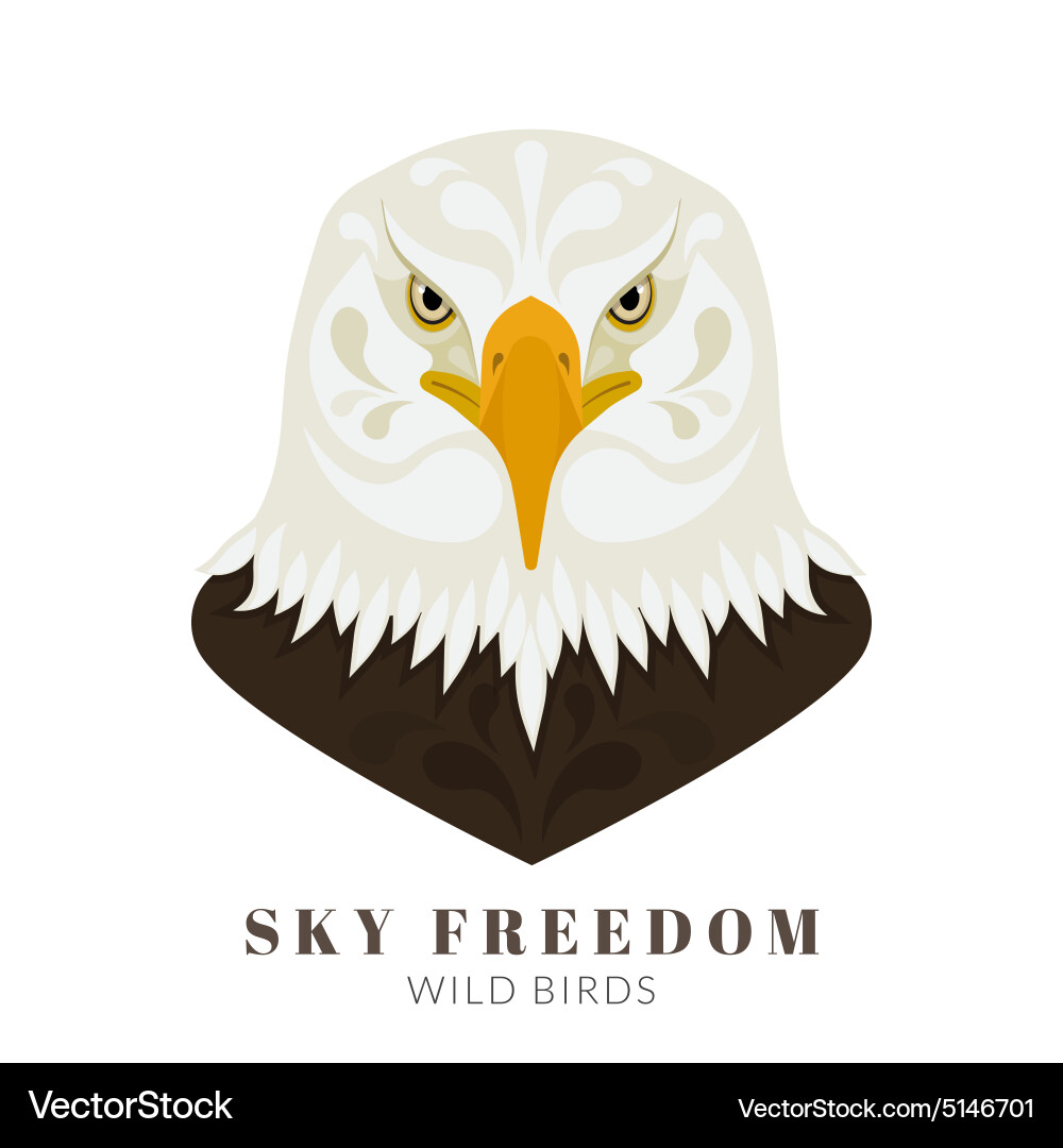 Dangerous eagle Royalty Free Vector Image - VectorStock