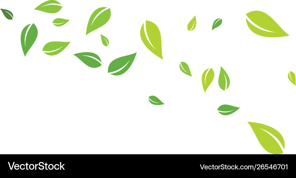 Green leaf background Royalty Free Vector Image