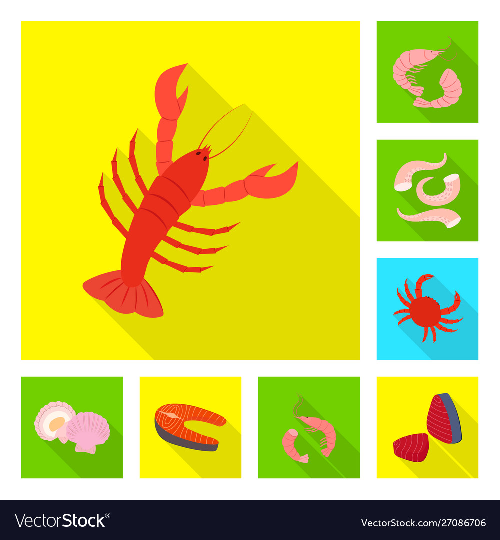 Isolated object product and ocean symbol vector image Isolated object product and ocean symbol