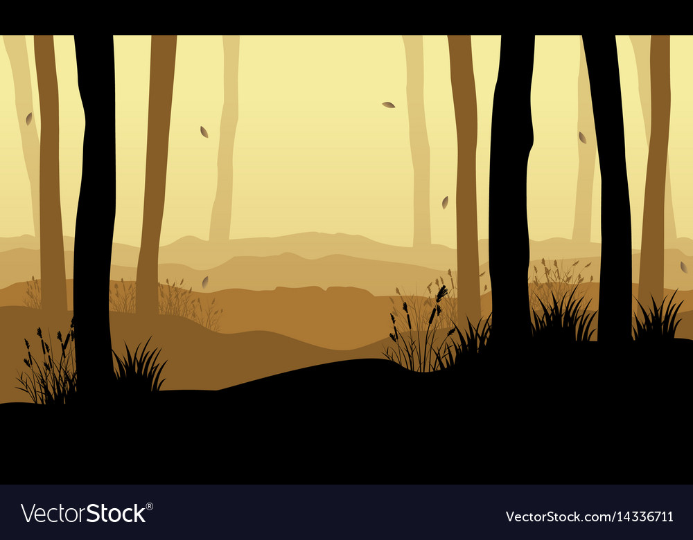 Collection of forest with tree at sunset