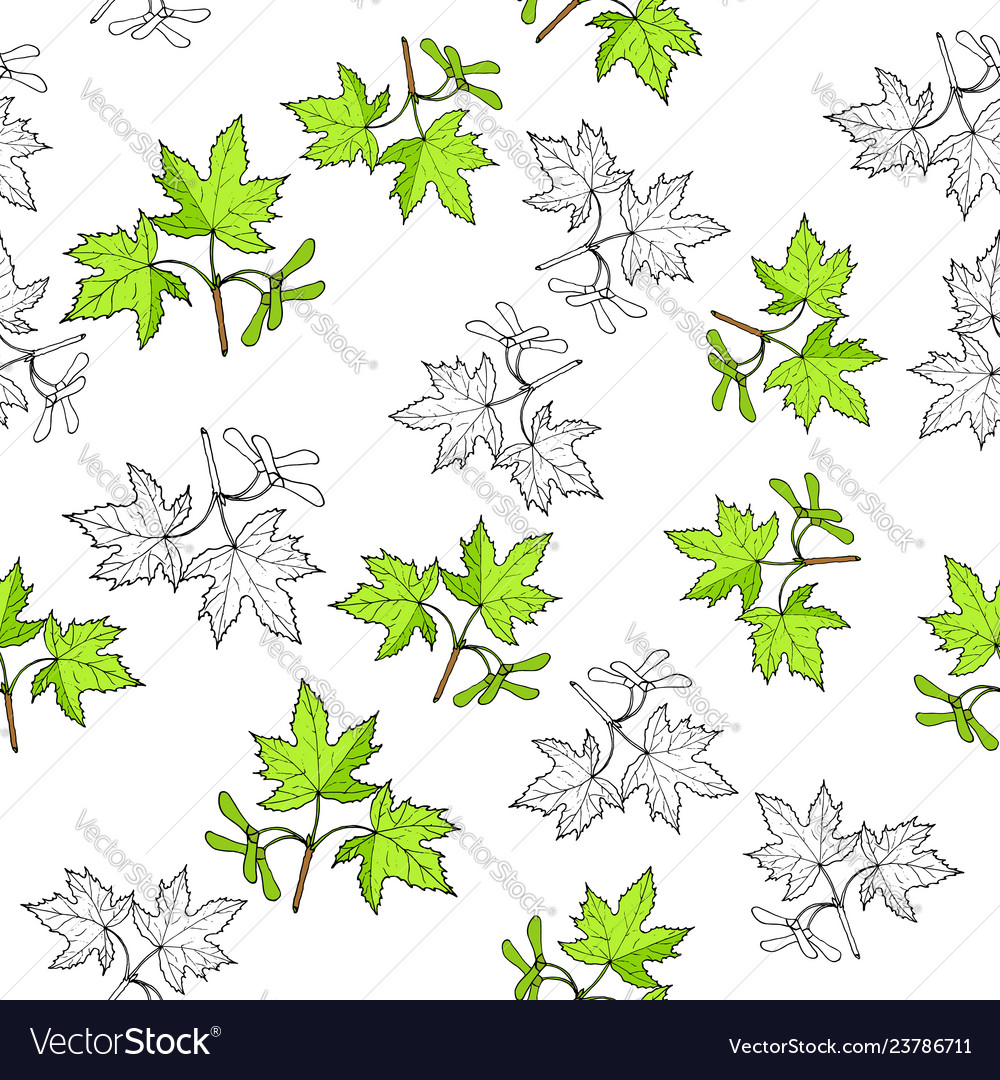 Seamless pattern with hand drawn maple leaves