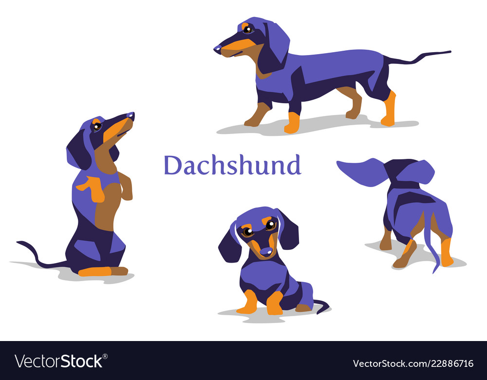 Dachshund Black Royalty Free Vector Image - Vectorstock